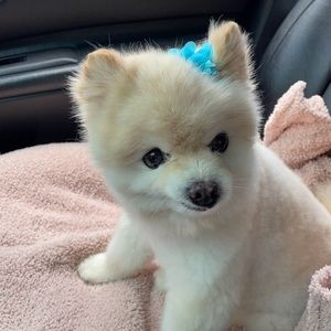 Meet your Posher, Tiffany